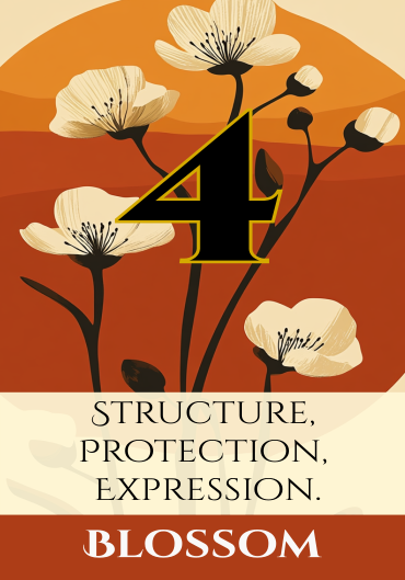Card IV